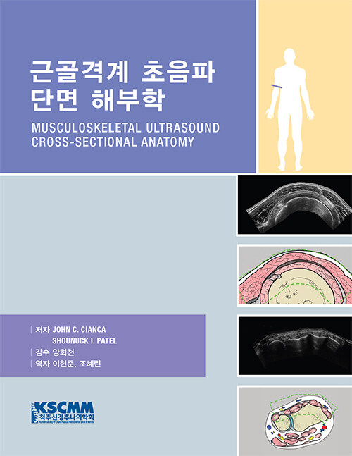 근골격계 초음파 단면 해부학